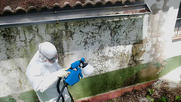 Top rated local Mold Remediation specialists in Nokesville, VA